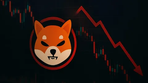 赵露思前经纪人透露：已转投新团队，旧合约无关联