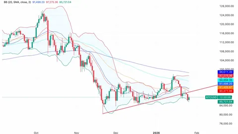 比特币霸主地位动摇，边缘币交易热潮席卷市场
