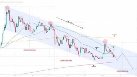 FATF关注稳定币非法交易，呼吁加强发行监管